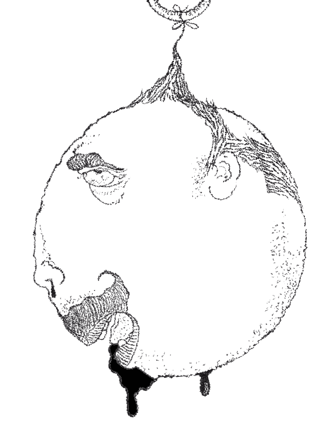 Apophenia