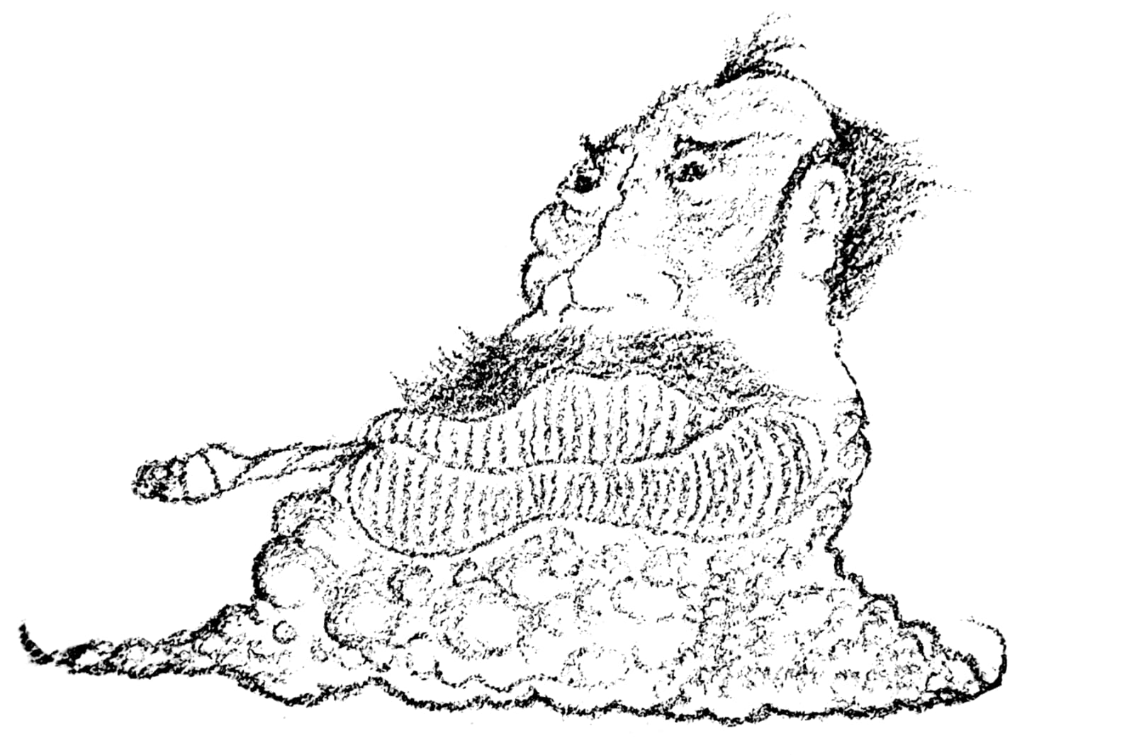 a turd